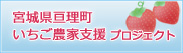 宮城県亘理町いちご農家支援プロジェクト